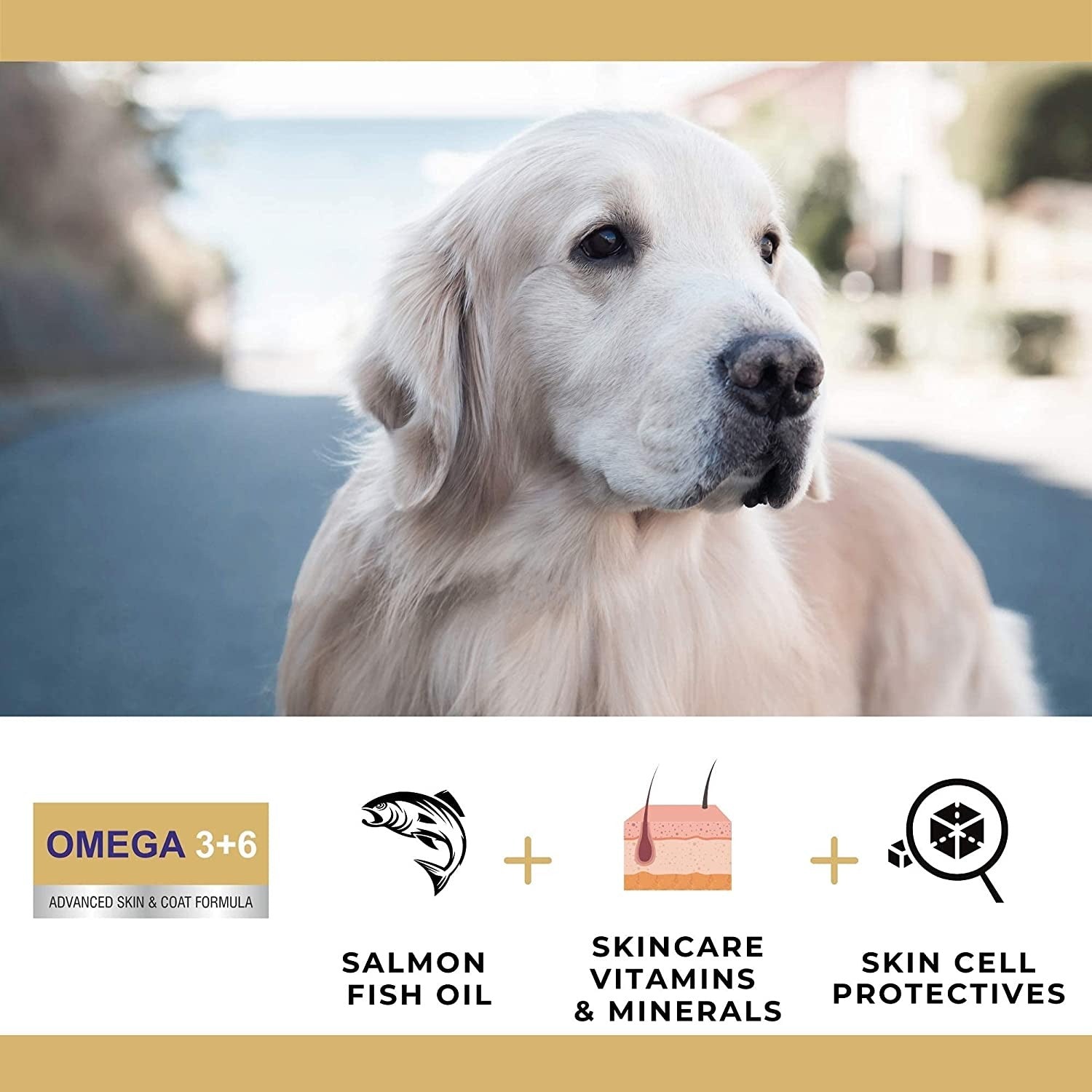 OMEGA 3+6 Syrup with Salmon oil & Skin care Nutrition