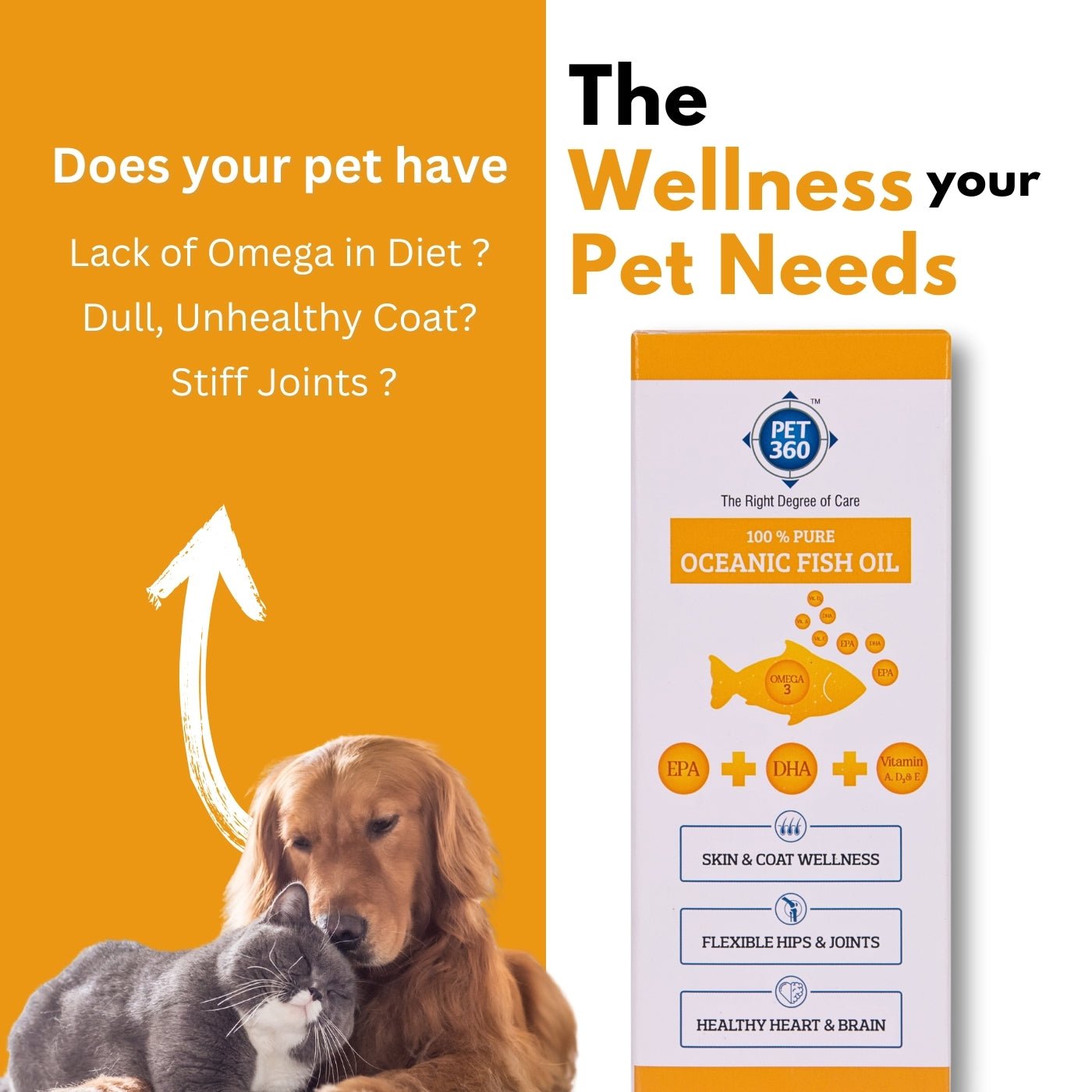 PET360 Oceanic Sardine Fish Oil for Dogs & Cats | Promotes Heart, Brain, Liver & Kidney Health | Reduced Hairfall, Shiny Coat | Omega 3, 6 & Vit. A, D, E| Nutritional Supplement for All Breeds | 200 ml