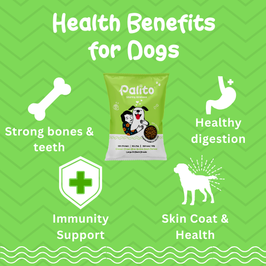 Palito Adult Large & Giant Breed Dog Food