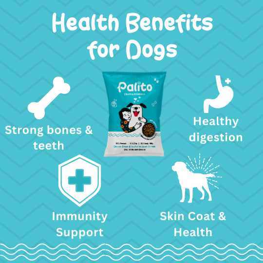 Palito Adult Small & Medium Breed Dog Food