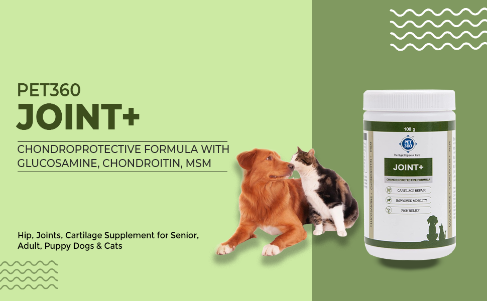 JOINT+ Powder with Glucosamine, Chondrotin & MSM