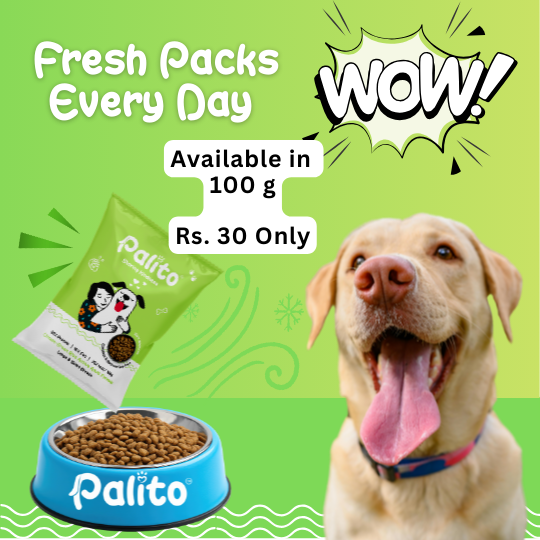 Palito Adult Large & Giant Breed Dog Food