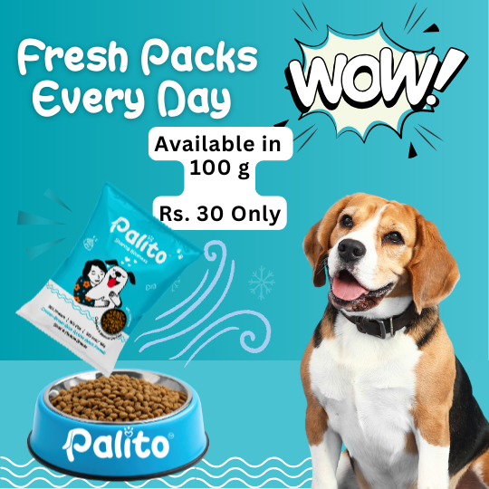 Palito Adult Small & Medium Breed Dog Food