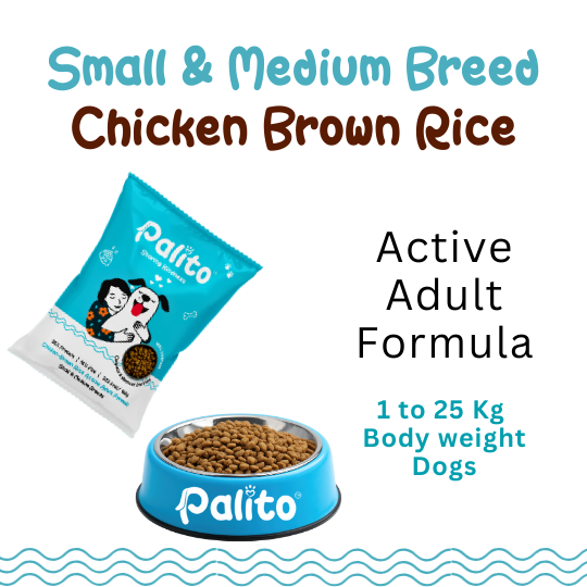 Palito Adult Small & Medium Breed Dog Food