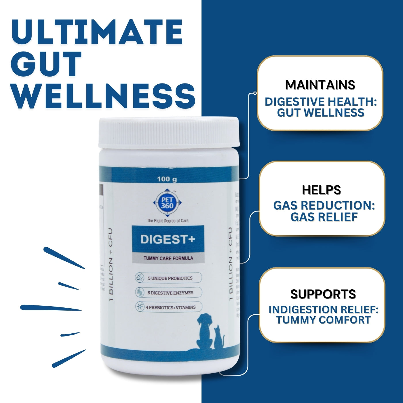 DIGEST+ Powder with Probiotics, Enzymes & Prebiotics