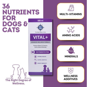 VITAL+ Multivitamin Syrup with Wellness Additives & Minerals