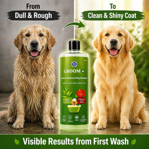 Groom+ Neem Hibiscus Oatmeal Dog Shampoo 1 liter