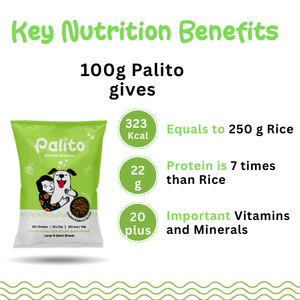 Palito Adult Large & Giant Breed Dog Food