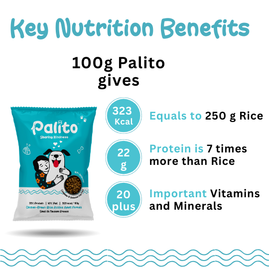 Palito Adult Small & Medium Breed Dog Food