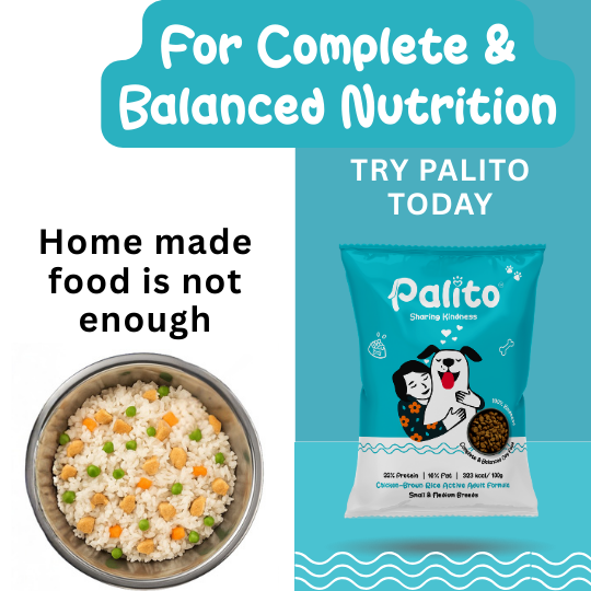 Palito Adult Small & Medium Breed Dog Food