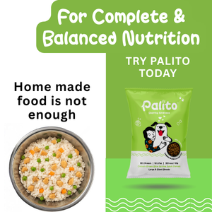 Palito Adult Large & Giant Breed Dog Food