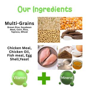 Palito Adult Large & Giant Breed Dog Food