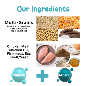 Palito Adult Small & Medium Breed Dog Food