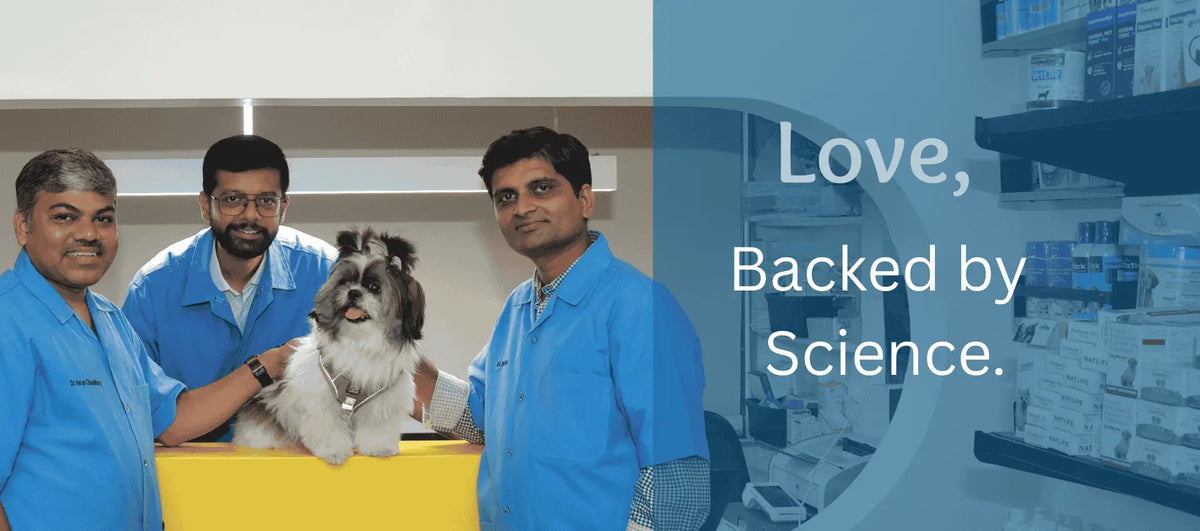 PET360 veterinary founders with a dog
