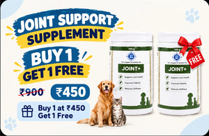 PET360 JOINT+ Chondroprotective Formula | Buy 1 Get 1 Free 100g+100g
