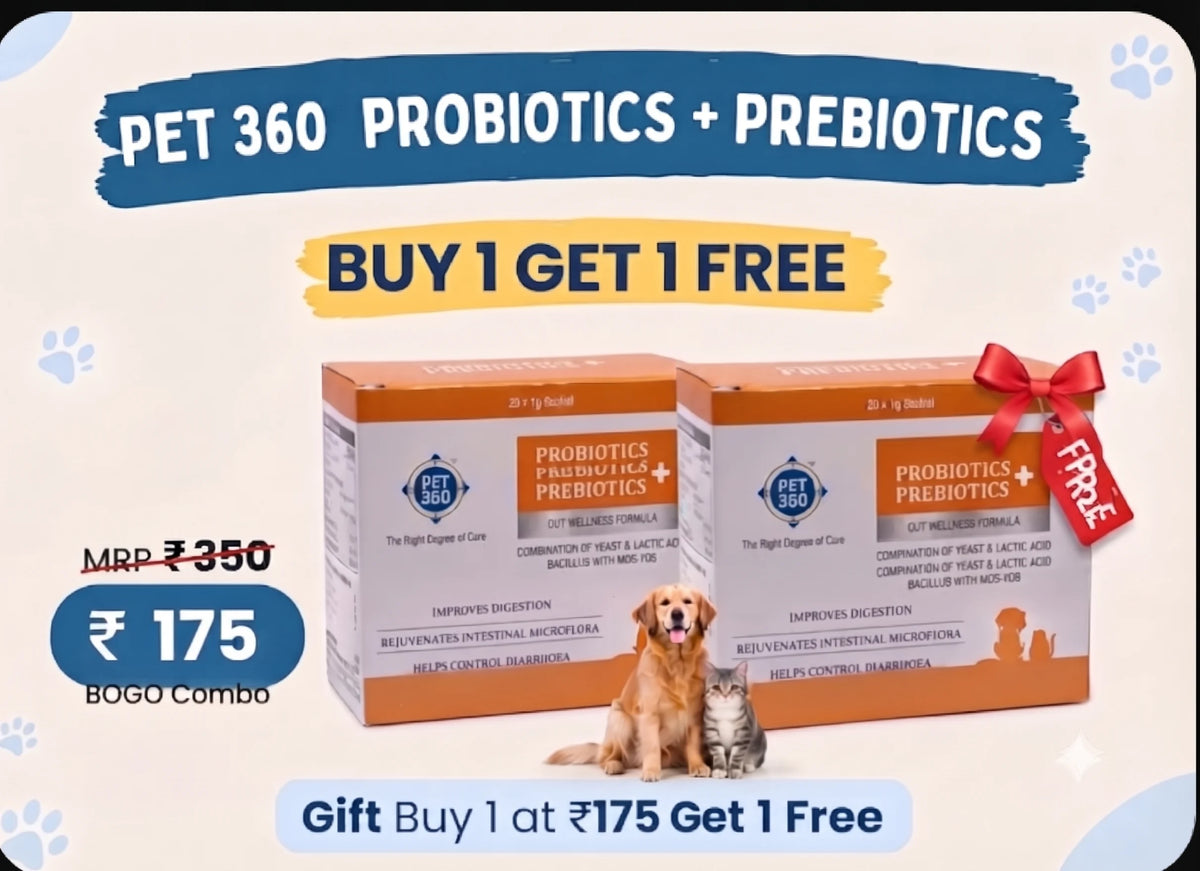 PET360 PROBIOTICS + PREBIOTICS Gut Wellness Formula for Dogs & Cats | Buy 1 Get 1 Free Pack of 5+5