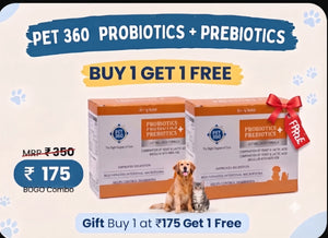 PET360 PROBIOTICS + PREBIOTICS Gut Wellness Formula for Dogs & Cats | Buy 1 Get 1 Free Pack of 5+5