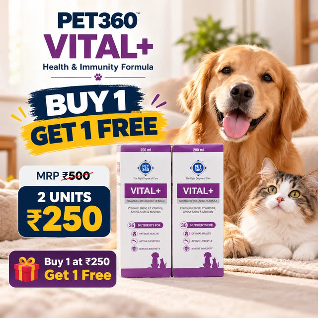 PET360 VITAL+ 200 ml Buy 1 Get 1 Free Multivitamin Formula