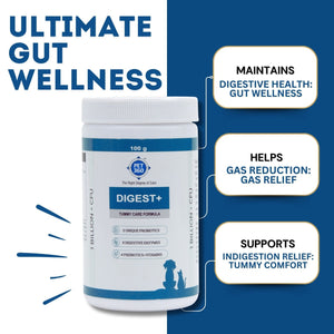 DIGEST+ Powder with Probiotics, Enzymes & Prebiotics