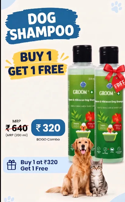 Groom+ Neem Hibiscus Oatmeal Dog Shampoo | Buy 1 Get 1 Free 200g+200g