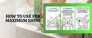 Groom+ Neem Hibiscus Oatmeal Dog Shampoo 1 liter