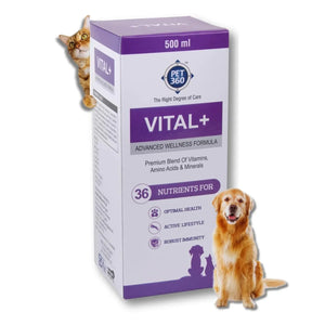 PET360 Vital+ Advanced Wellness Formula for Dogs & Cats | Multivitamin Syrup for Healthy Skin, Joints & Boosted Immunity | Nutritional Supplement with Vitamins & Minerals for Enhanced Growth