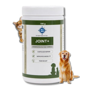JOINT+ Powder with Glucosamine, Chondrotin & MSM
