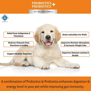 PROBIOTICS + PREBIOTICS with 2.5 billion CFUs, MOS & FOS