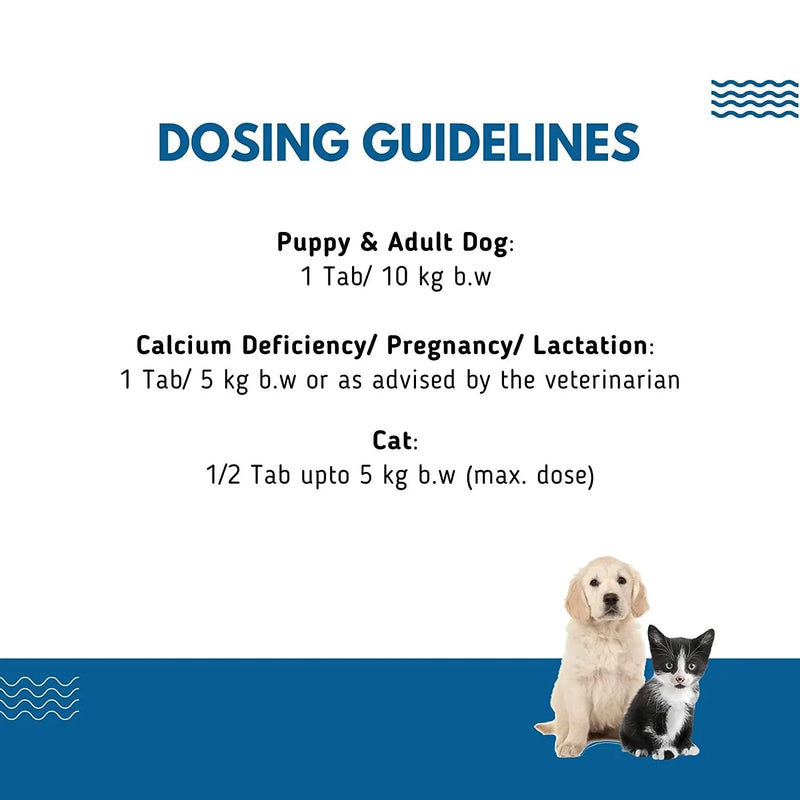 CALCIUM+ Tabs for Bone, Muscle & Nerve Development ( 120 Tablets )