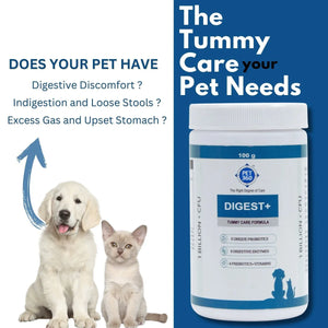 DIGEST+ Powder with Probiotics, Enzymes & Prebiotics