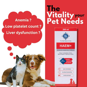 HAEM+ Advanced Haematinic Formula | Health Booster & Liver Tonic for Cats & Dogs | with Extracts of Papaya & Silymarine | Active Combination of Iron, Blood Support Vitamins & Herbs ( 200 ml )