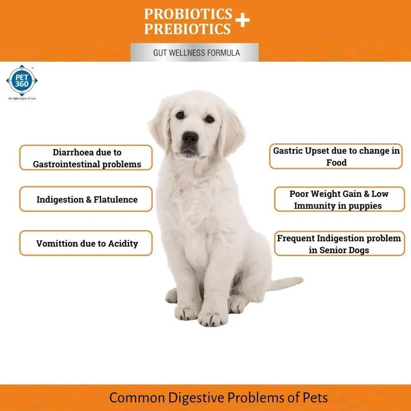 PET360 PROBIOTICS + PREBIOTICS Gut Wellness Formula for Dogs & Cats | Buy 1 Get 1 Free Pack of 5+5