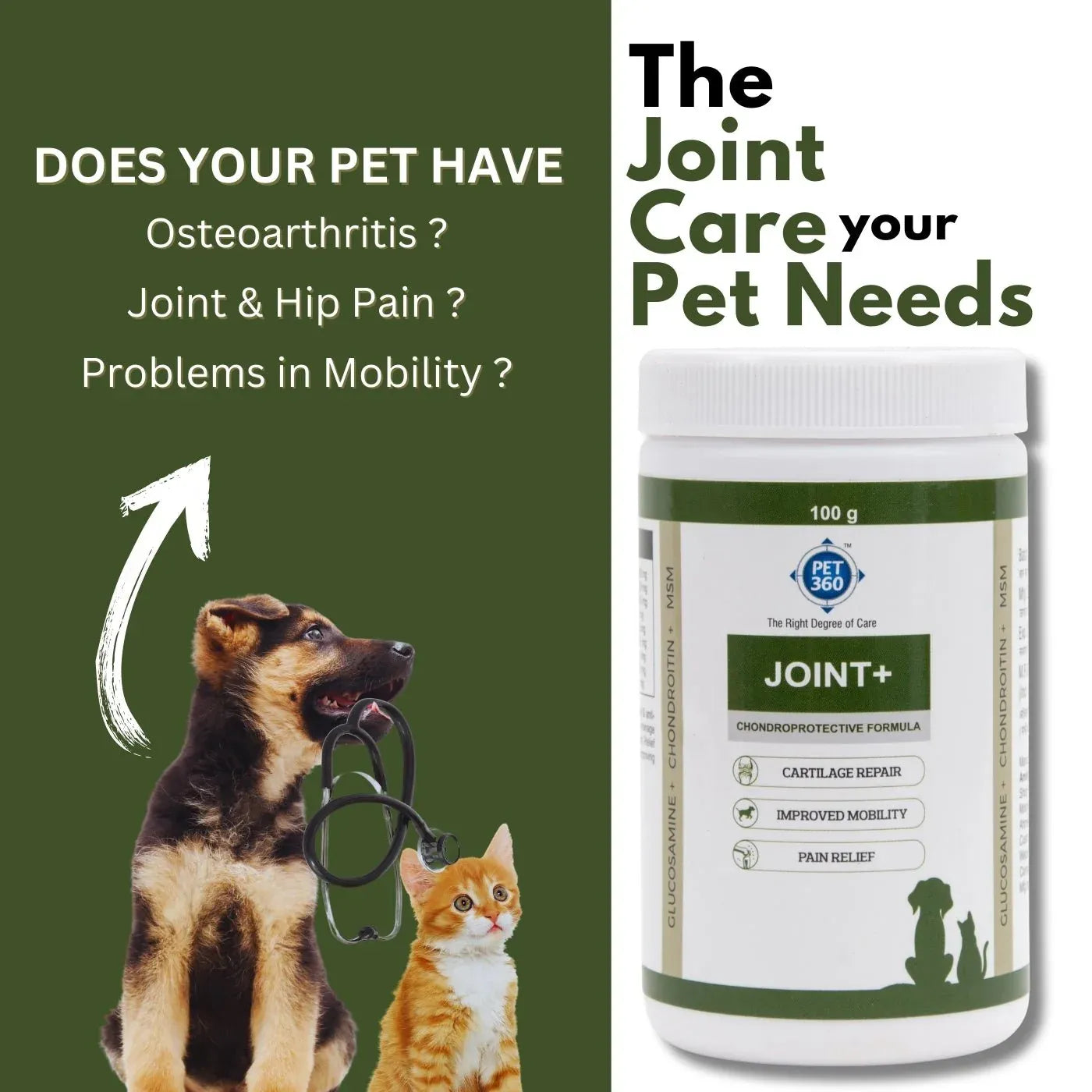 JOINT+ Powder with Glucosamine, Chondrotin & MSM