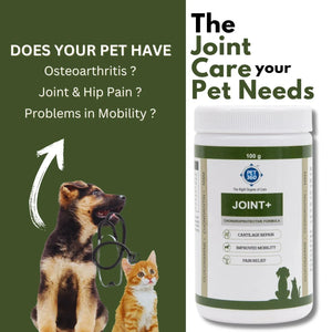 JOINT+ Powder with Glucosamine, Chondrotin & MSM