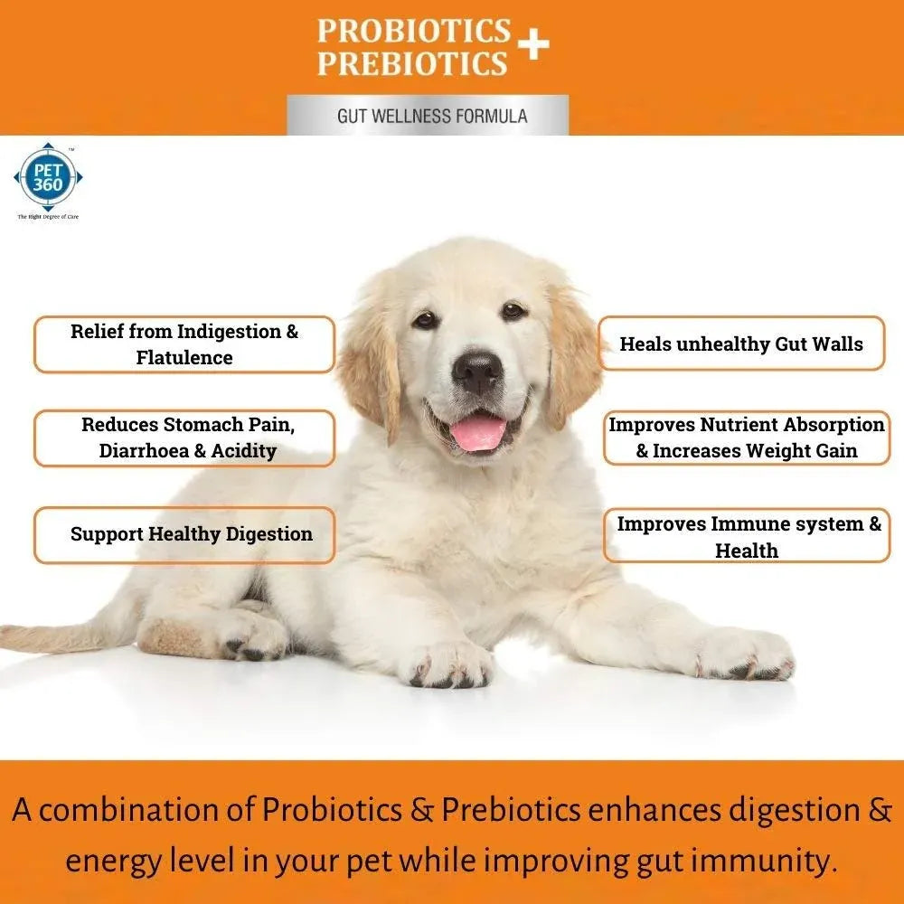 PROBIOTICS + PREBIOTICS for dogs with 2.5 billion CFUs, MOS & FOS – PET360