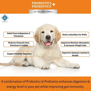 PROBIOTICS + PREBIOTICS for dogs and cats with 2.5 billion CFUs, MOS & FOS