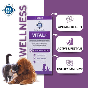 PET360 Vital+ Advanced Wellness Formula for Dogs & Cats | Multivitamin Syrup for Healthy Skin, Joints & Boosted Immunity | Nutritional Supplement with Vitamins & Minerals for Enhanced Growth