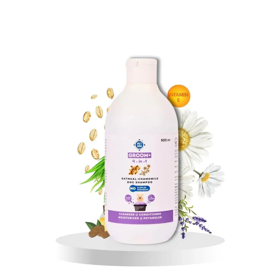 GROOM+ 4-in-1  Oatmeal Chamomile Dog Shampoo, Paraben-SLS-SLES Free