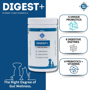 DIGEST+ Powder with Probiotics, Enzymes & Prebiotics