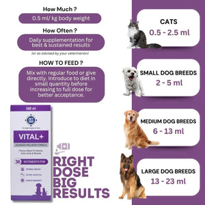 PET360 Vital+ Advanced Wellness Formula for Dogs & Cats | Multivitamin Syrup for Healthy Skin, Joints & Boosted Immunity | Nutritional Supplement with Vitamins & Minerals for Enhanced Growth