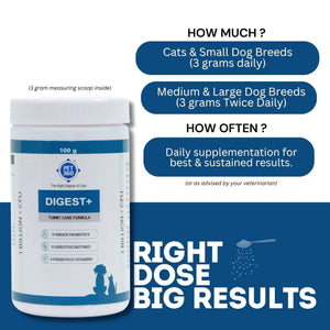 DIGEST+ Powder with Probiotics, Enzymes & Prebiotics