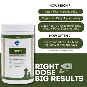 JOINT+ Powder with Glucosamine, Chondrotin & MSM